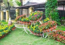 creating-beautiful-home-gardens